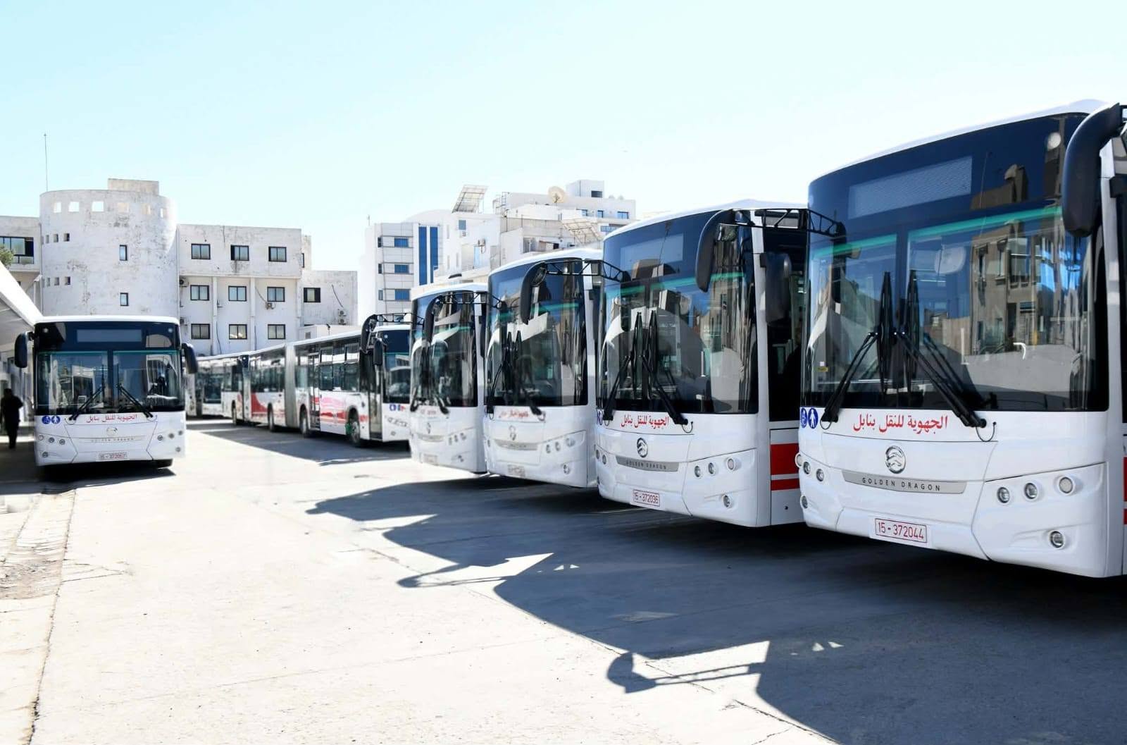استعدادا للعودة المدرسية والجامعية..   الشركات الجهوية للنقل ترفع جاهزيتها لوجيستيا وخدماتيا   